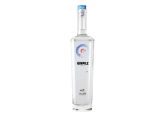 ginpilz
