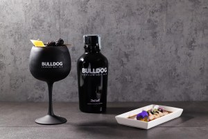 bulldog gin tonic