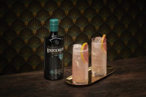 Cocktail Paloma con Brockmans gin Agave