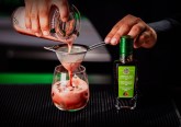 Gin Sour con l'Aceto Balsamico