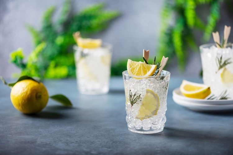 gin fizz cocktail