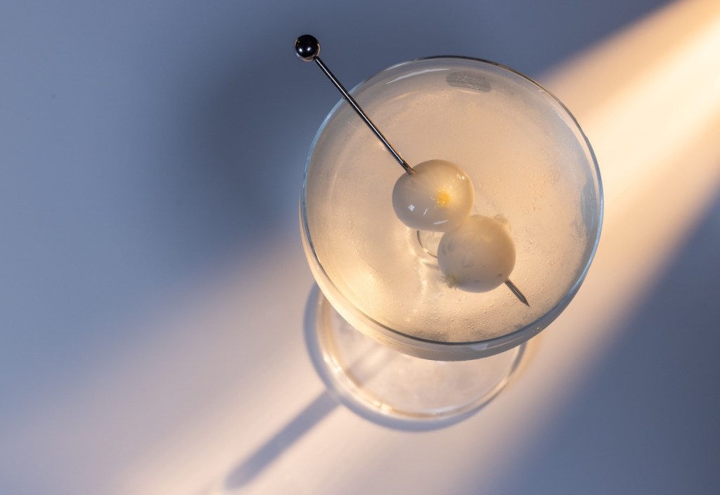 Gibson martini cocktail