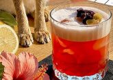 HIBISCO SPINTO SOUR GLEP