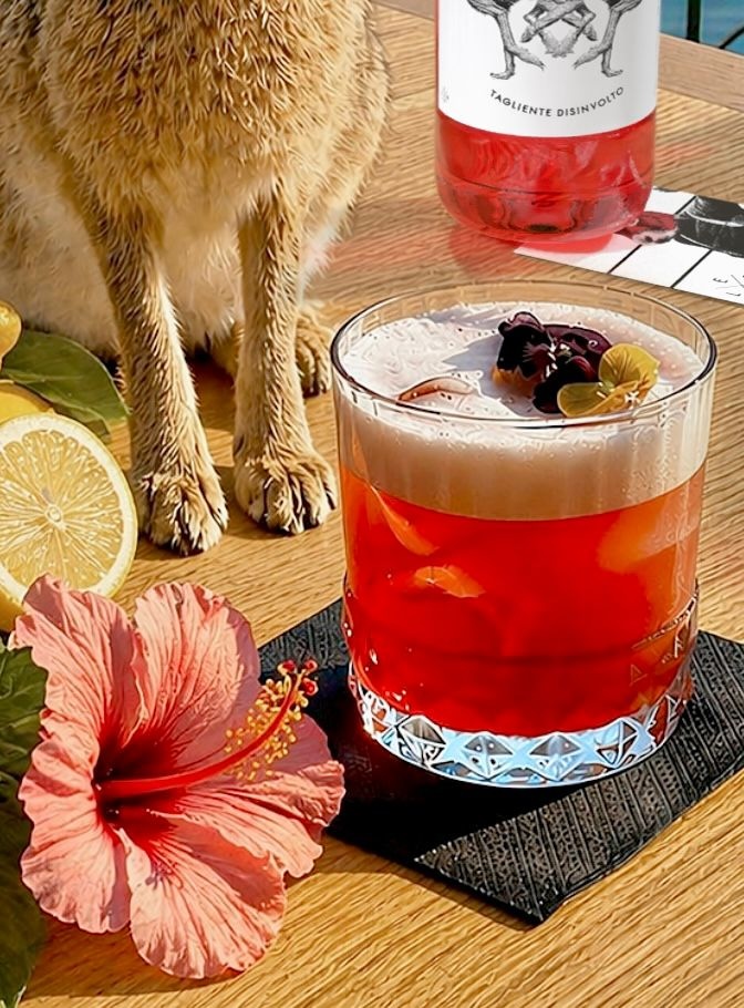 HIBISCO SPINTO SOUR GLEP